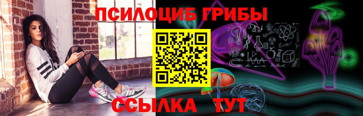Псилоцибиновые грибы прущие грибы  Вход с VPN  Нерюнгри 